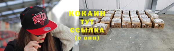 сатива Арсеньев
