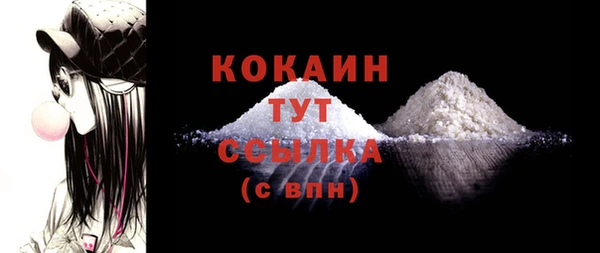 сатива Арсеньев