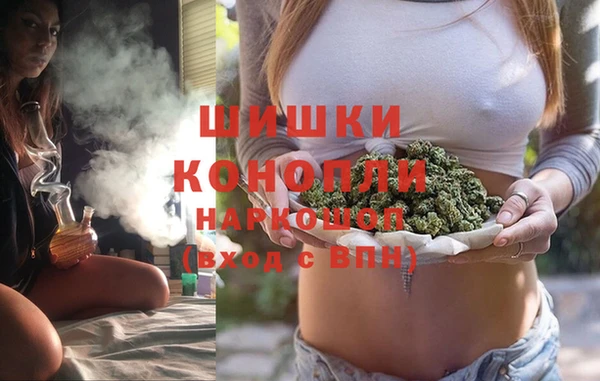 сатива Арсеньев