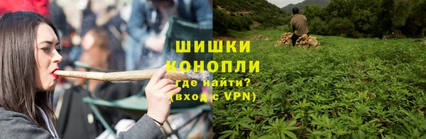 сатива Арсеньев