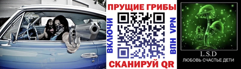 Галлюциногенные грибы прущие грибы  закладки  Ирбит 